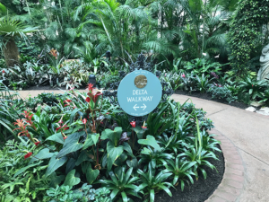 Gaylord Opryland Interior